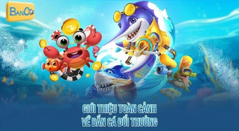 gioi-thieu-toan-canh-ve-ban-ca-doi-thuong