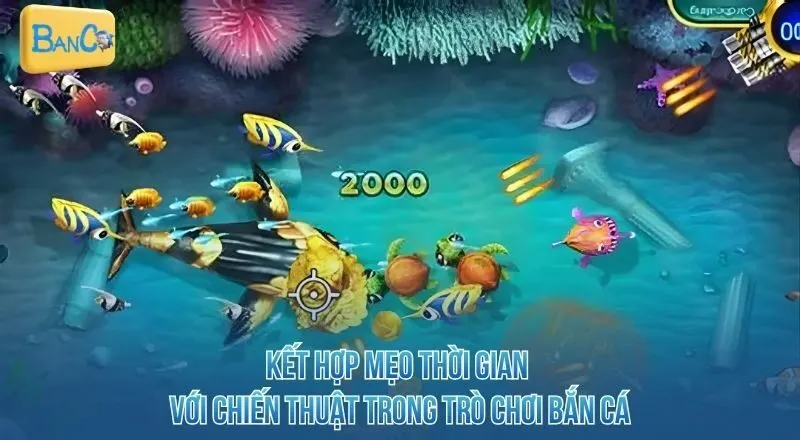 ket-hop-meo-thoi-gian-voi-chien-thuat-trong-tro-choi-ban-ca