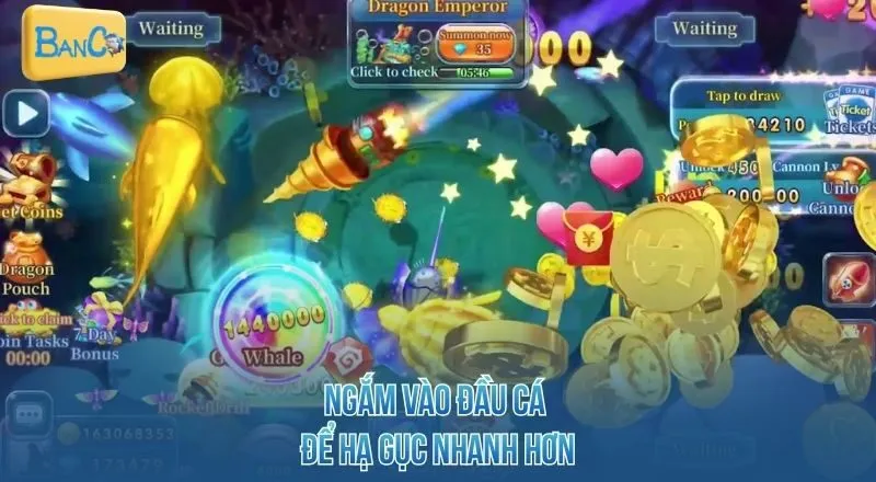 ngam-vao-dau-ca-de-ha-guc-nhanh-hon