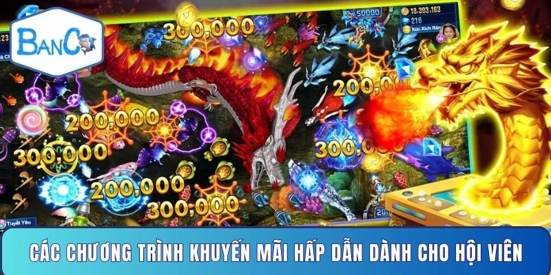 cac-chuong-trinh-khuyen-mai-hap-dan-danh-cho-hoi-vien