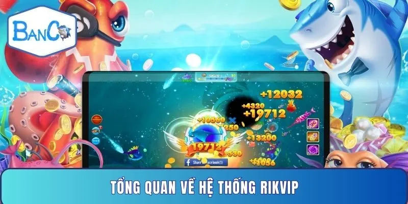 tong-quan-ve-he-thong-rikvip